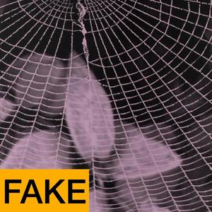 FaKe