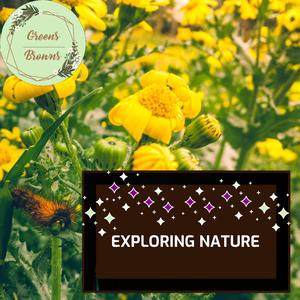 Fire Session Tonight