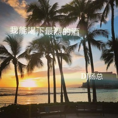 我能喝下最烈的酒 (DJ版)