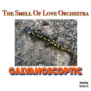 Flinktie of the Flincteroids