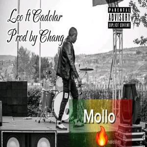 Mollo