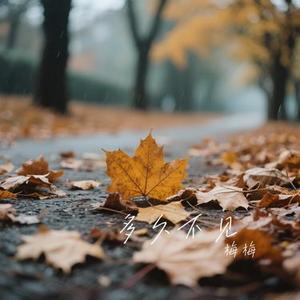 别等太久 (Cover 洋澜一)