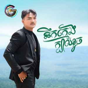 នឹកក្មេងក្បាលខូច (នឹកណាស់)