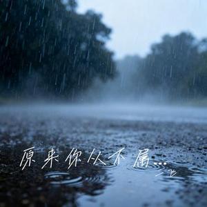 原来你从不属于我 (二飞 Remix)