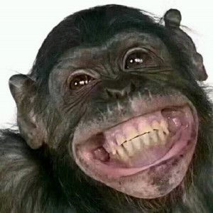 [FREE]刚哭过所以开心不起来