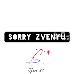 Sorry Zvenyu