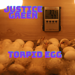 Torpid Egg