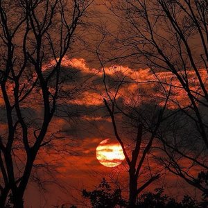 秋天不回来 小洲【抖音热播】