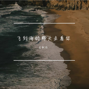 飞到海的那头去看你