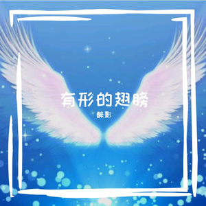 有形的翅膀