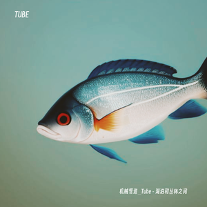 湖泊和丛林之间