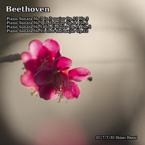 Piano Sonata No. 7 in D Major, Op. 10, No. 3: IV. Rondo. Allegro