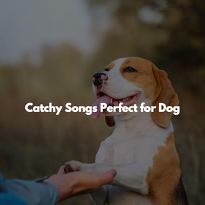 Relaxing (Morning Calms)