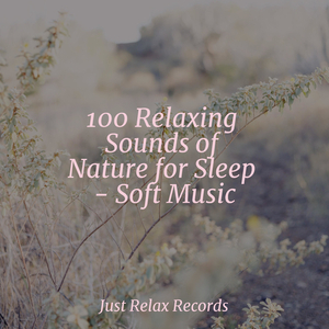 Tranquil Trails of Solitude