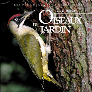 Chardonneret élégant