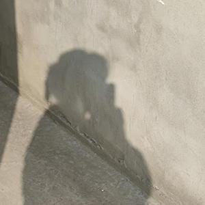 唯一（翻唱告五人）