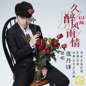 久醉风雨情dj