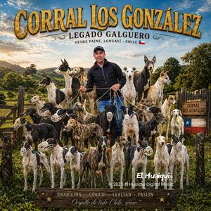 CORRAL LOS GONZÁLEZ-LEGADO GALGUERO