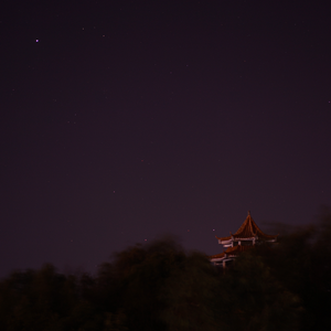 “星星不会升起来噢如果只说晚安的话”