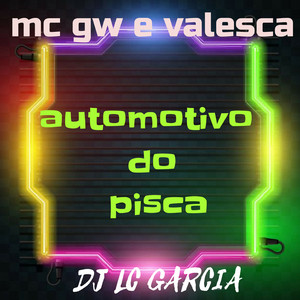 Automotivo Do Pisca