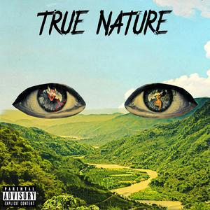 True Nature