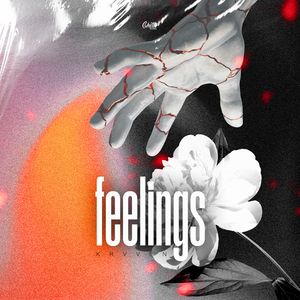 Feelings