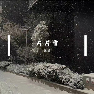 片片雪