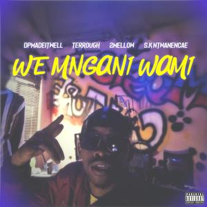 We Mngani wami (feat. Terrough, 2Mellow & S.k Ntwanencane)
