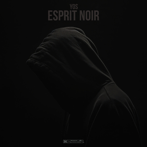 Esprit noir