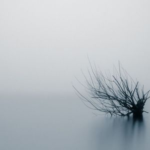 your trace (demo)