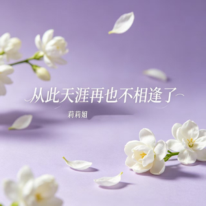 从此天涯再也不相逢了