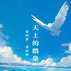 天上的鸱枭 (男生版)