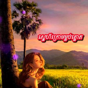 ស្នេហ៍ក្រោមម្លប់ត្នោត | Beautiful Khmer Song