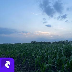 东北的秋纯音乐 (Demo)