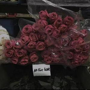 绽放(Prod By Ljx Ghost)