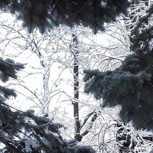Сквозит