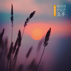 당신의 서글픈 오후