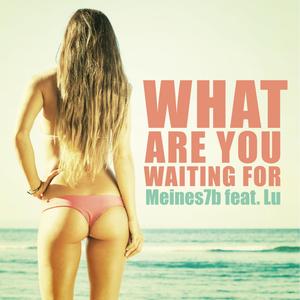 What Are You Waiting For (N-Sure Remix)