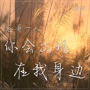 总有一天你会出现在我身边