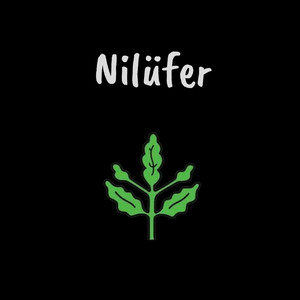 Nilüfer