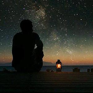 樱花草，浪子心