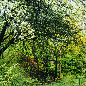 Gloucester Fishermen