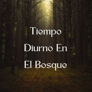 Tu Calma En La Tierra