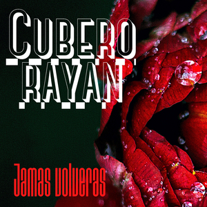 Fueron Pasando Los años