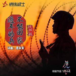 不能回家过年的兵