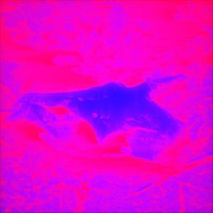 UntitledFace (feat. DB)