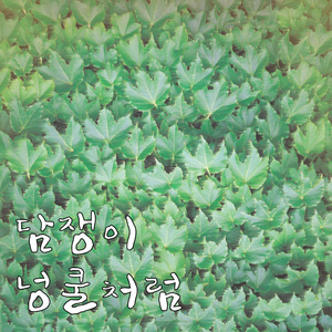 담쟁이넝쿨처럼(Inst.)