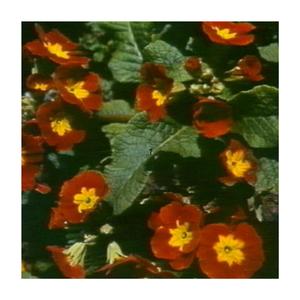 I Don't Know Where U Come From