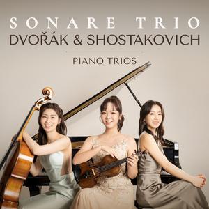 Piano Trio No. 4 in E Minor, Op. 90, B. 166 "Dumky": IV. Andante moderato - Allegretto scherzando