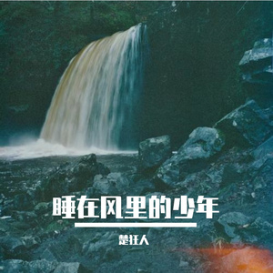 睡在风里的少年